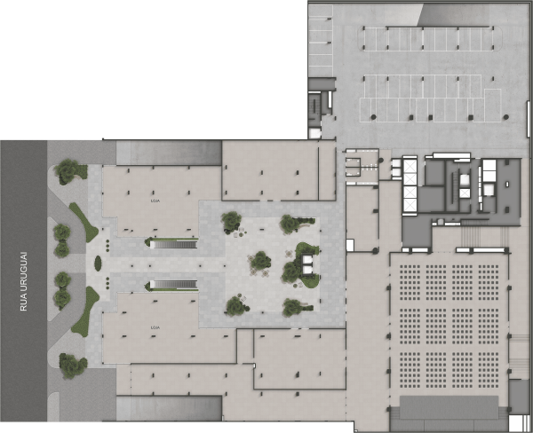 Planta sem descrição