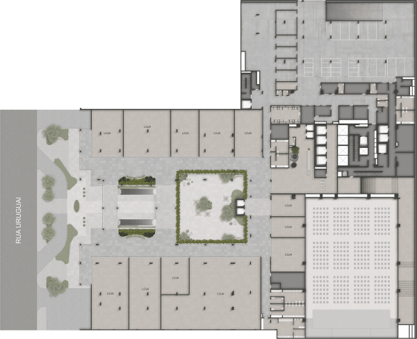 Planta sem descrição