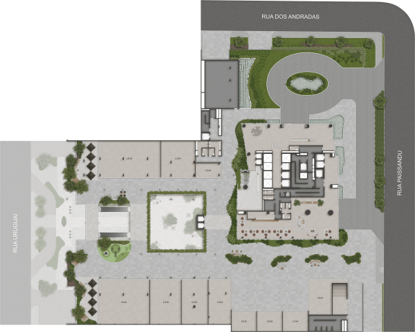 Planta sem descrição